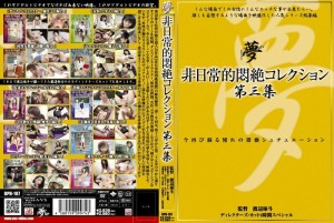 DPH-107 非凡的痛苦收藏 Vol.3 - 叶丽子在线观看