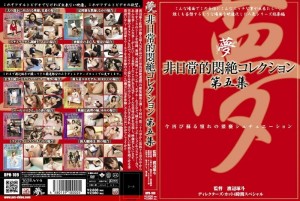 DPH-109 非凡的痛苦收藏 Vol.5 - ささきふう香在线观看