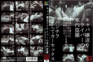 SPZ-139 女主人小姐送司机的车偷窥Panchira和汽车性爱 - 星优乃在线观看