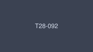 T28-092 我只想看蒙面少女！ 4个小时 - 竹内美树在线观看
