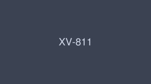 XV-811 遥爱她的叔叔伊藤遥 - 伊东遥在线观看