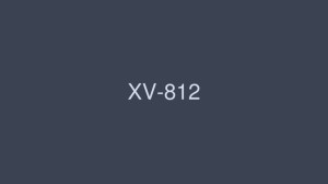 XV-812 最大女孩 25 - 希志爱野在线观看