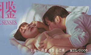 MDL-0005女子图鉴-徐蕾 凌薇